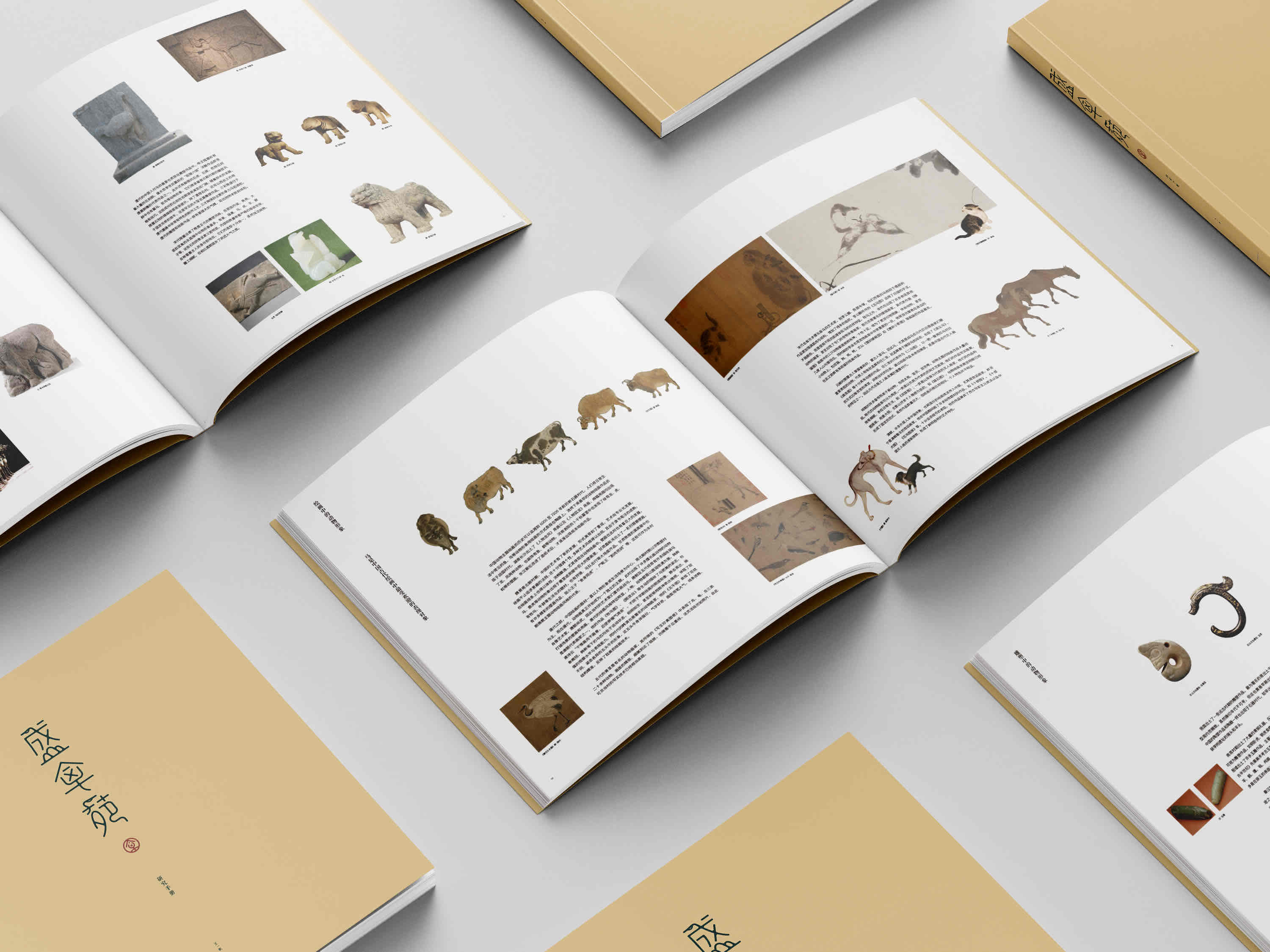 Printed brochure design for Shengqinyuan