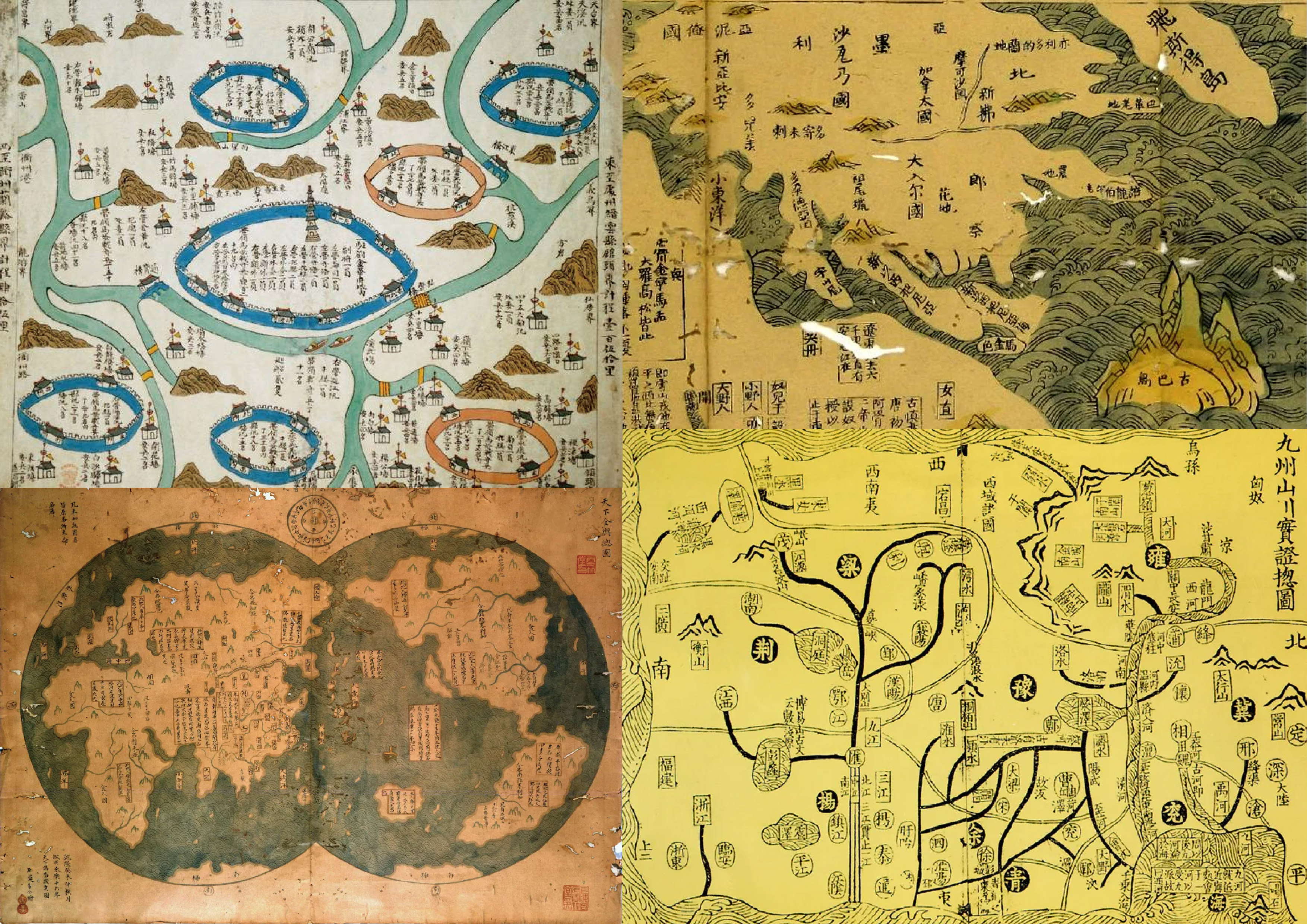 Illustrated map concept for the virtual zoo